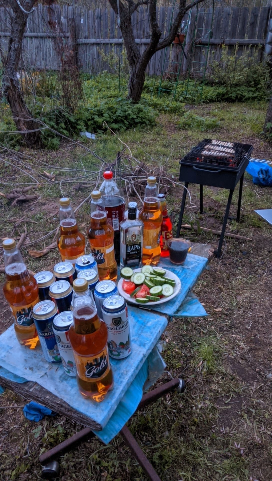 Взяли немножко топлива, всякого разного мясного