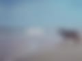1000043125.jpg
