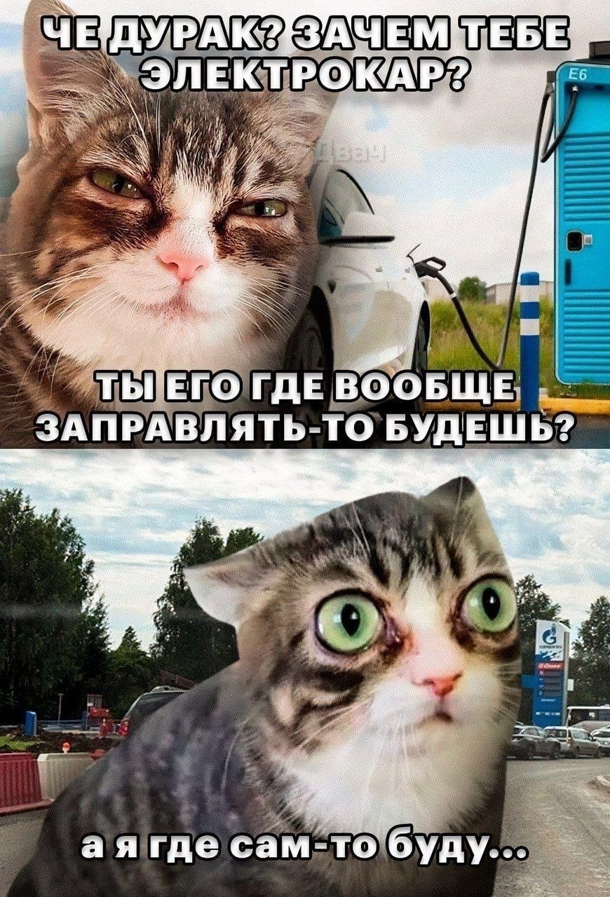 1000043126.jpg