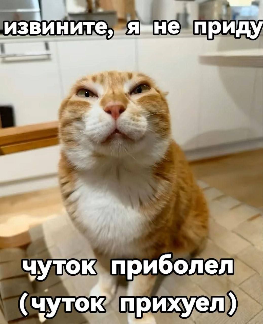 1000043039.jpg