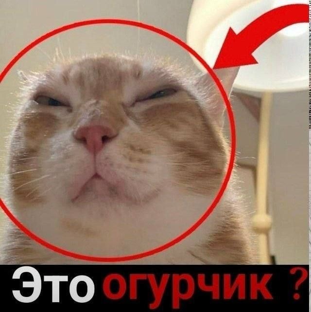 1000043036.jpg