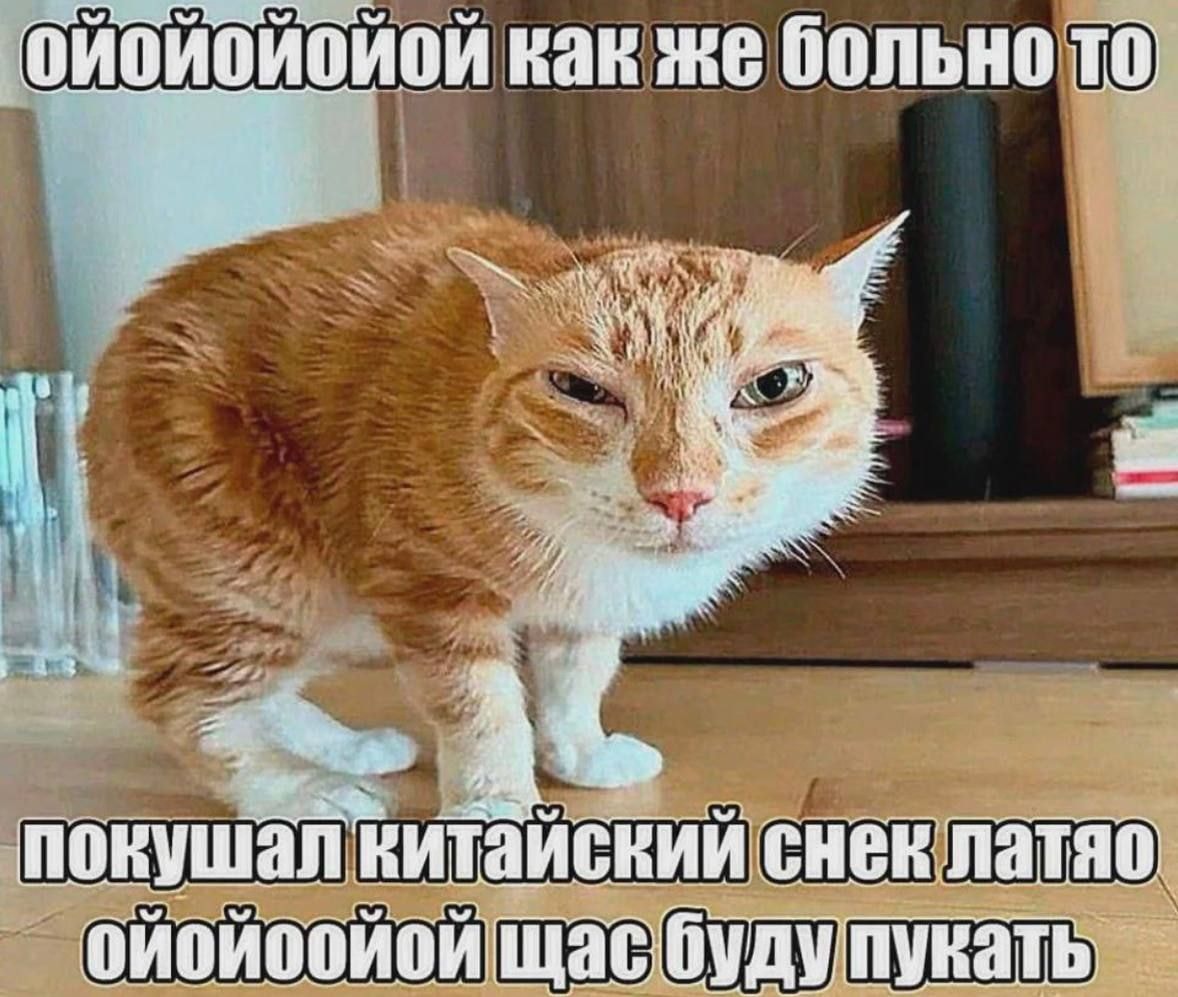 1000043033.jpg