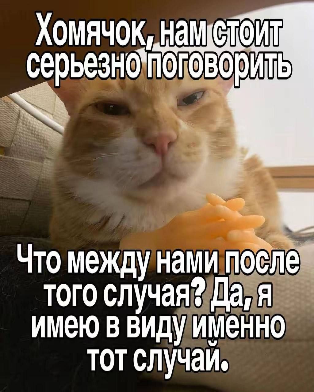 1000043031.jpg