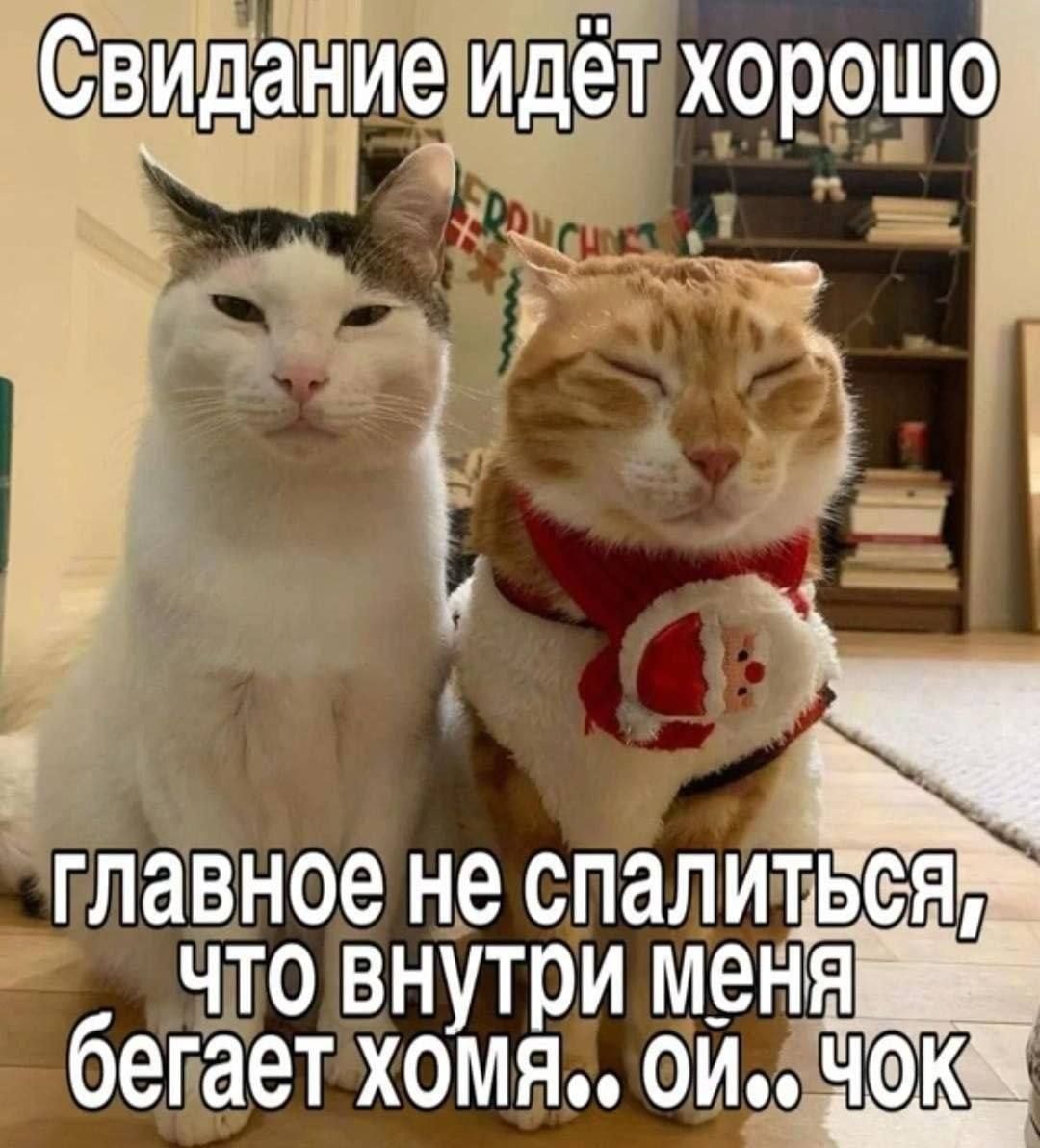 1000043030.jpg
