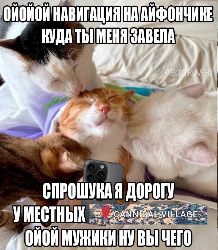 1000043028.jpg