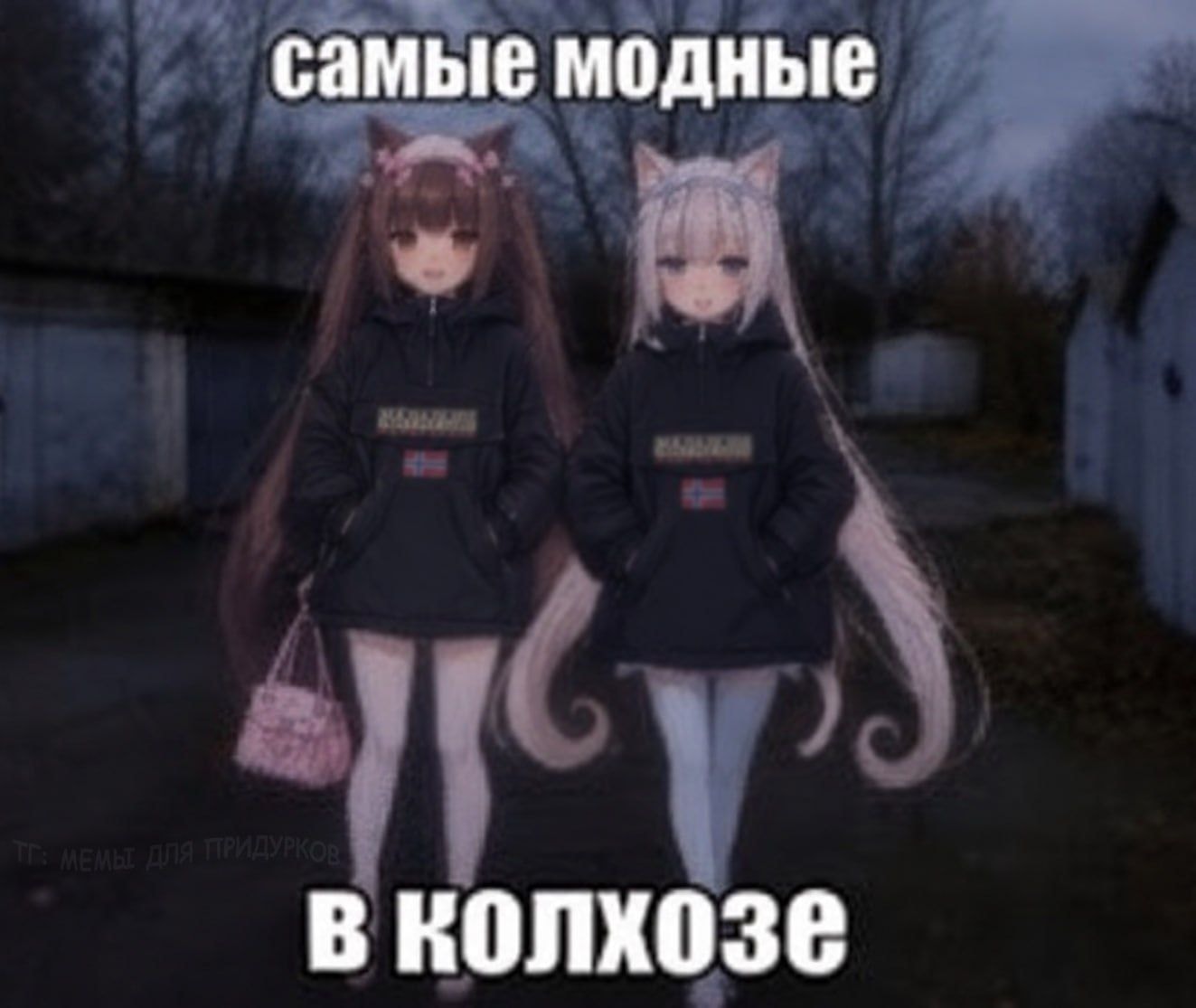 232.jpg