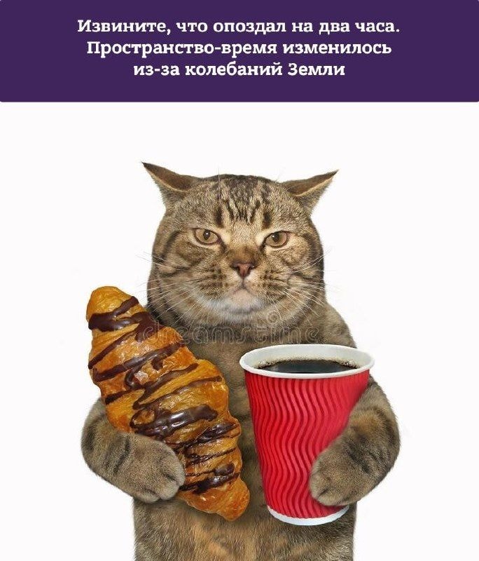 98805de1b92ea3519e2395b04hd.jpeg