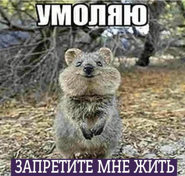 9d2f6eaf9b1a9317830953603hd.jpeg