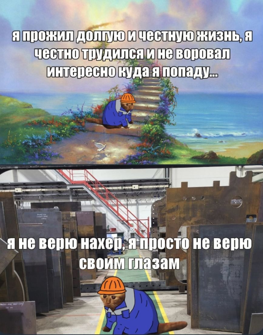 1000043181.jpg