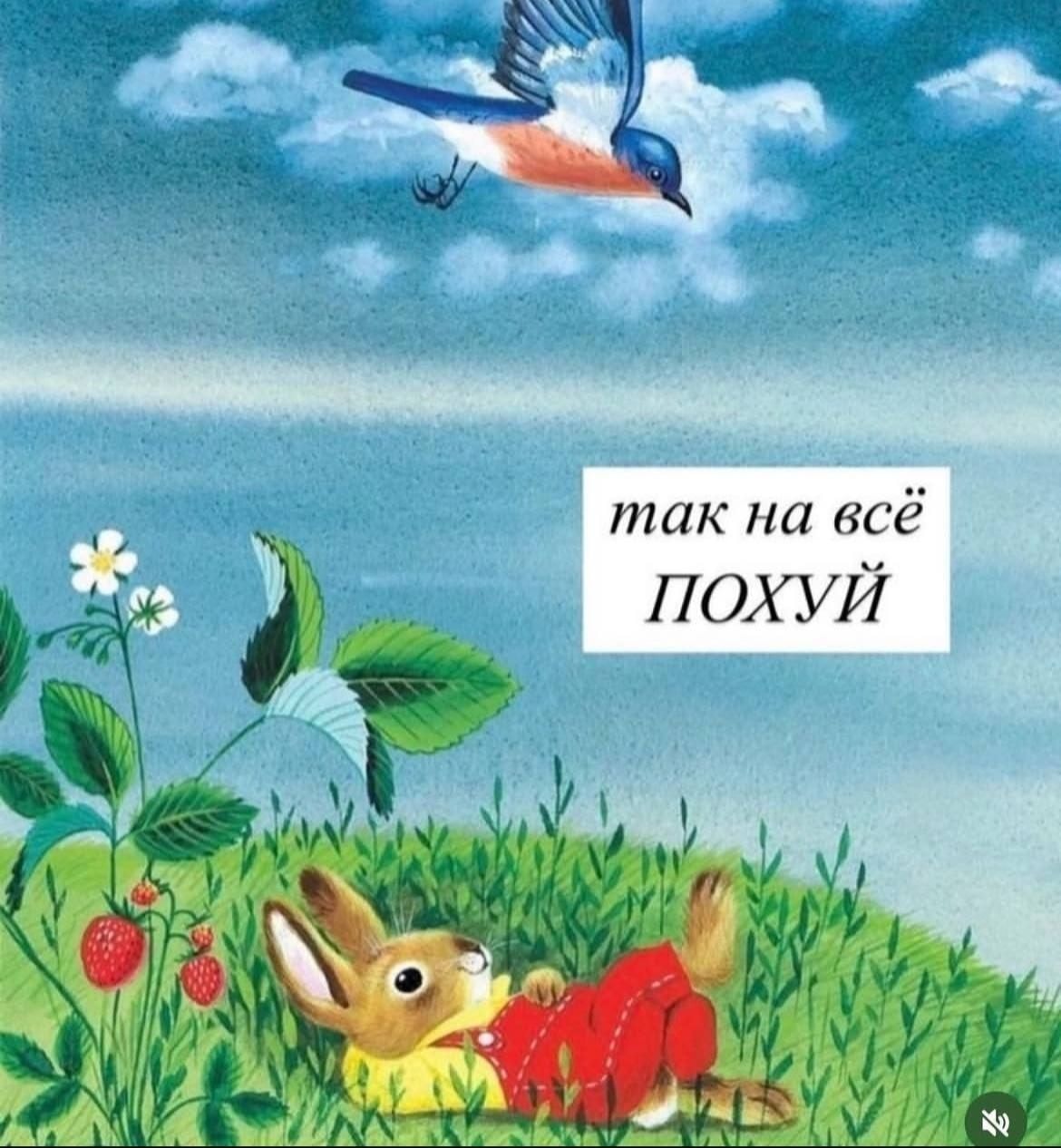 5199527017186007598.jpg