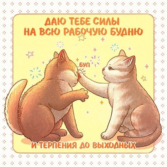 1000046719.jpg