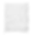 1000016777.jpg