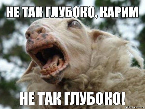 овцеёб-чурки-овца-удалённое-554741.jpeg