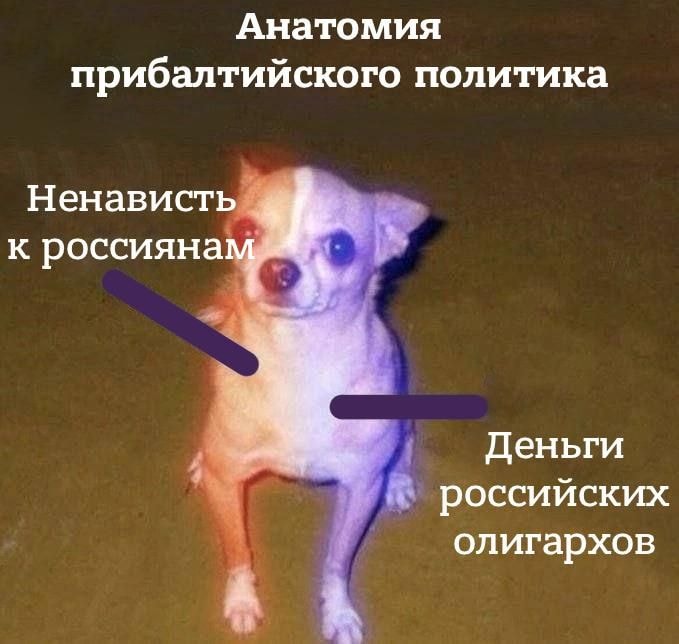 aecda560e0fdca87d3c828f06hd.jpeg