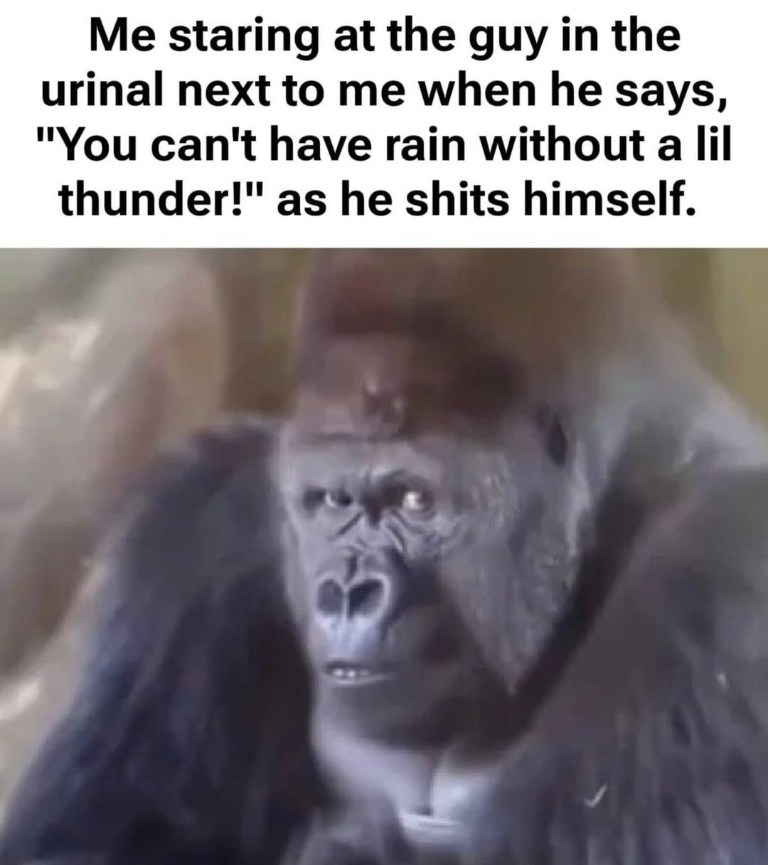 799.jpg