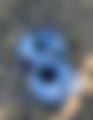 5208.jpg