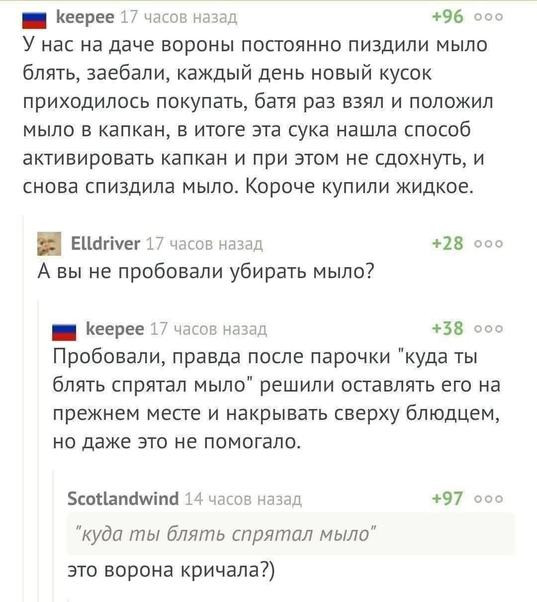 1000042898.jpg