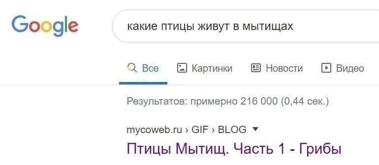 1000042090.jpg