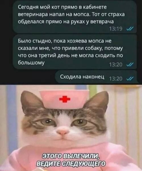 c0cb903d131a8ccb8a2116306hd.jpeg