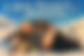 1077.jpg