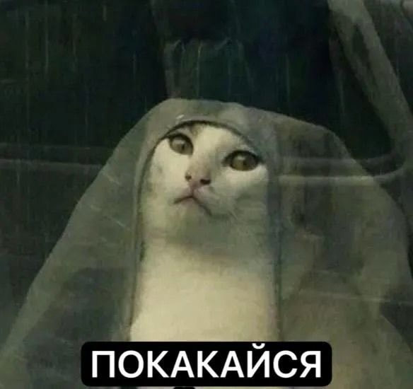 2096.jpg