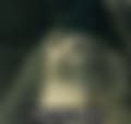 2096.jpg