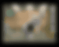nml1.png