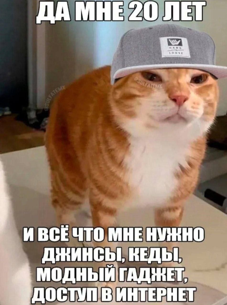 1000043048.jpg