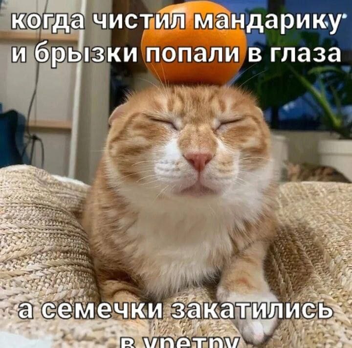 1000043046.jpg