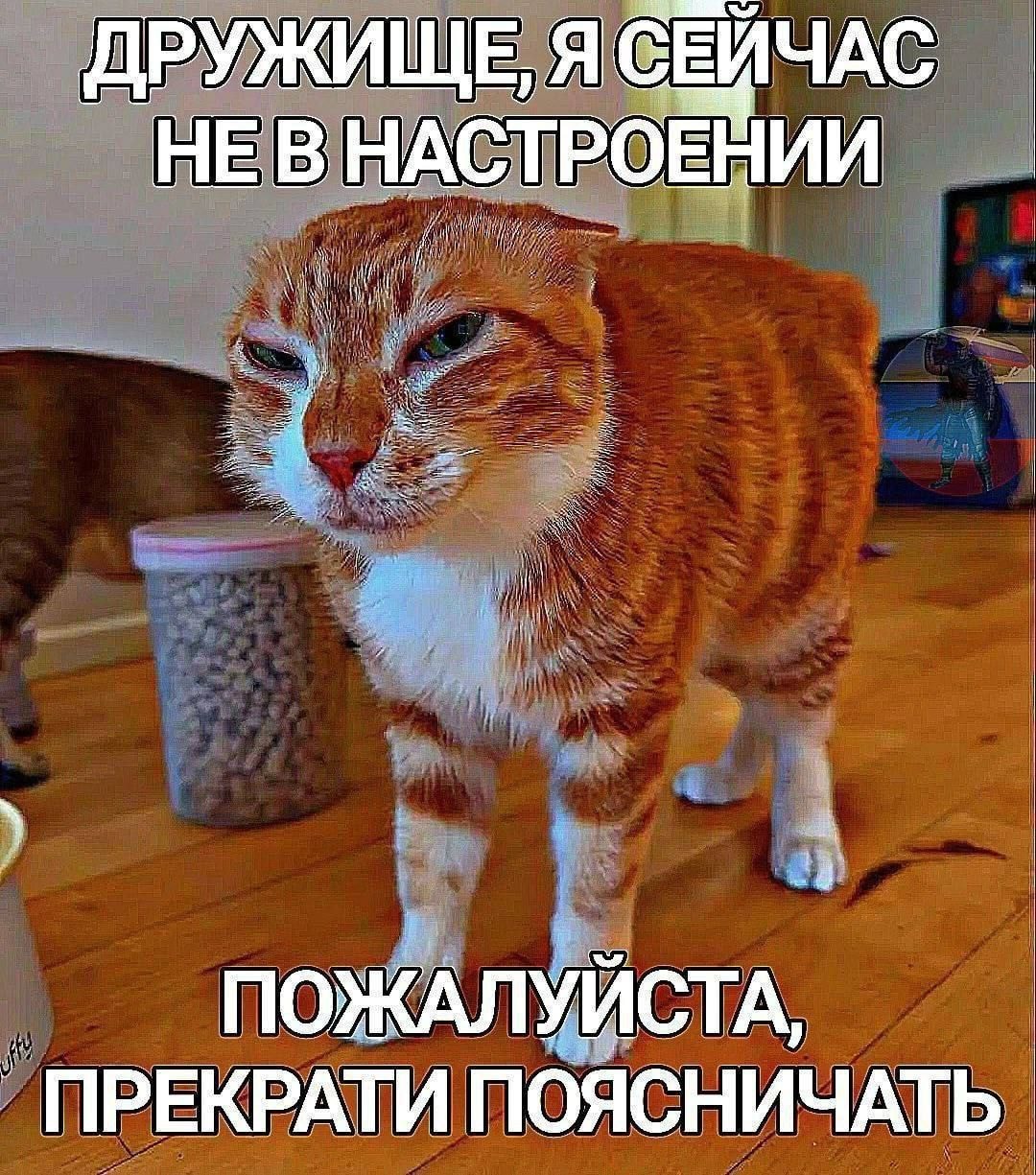 1000043042.jpg
