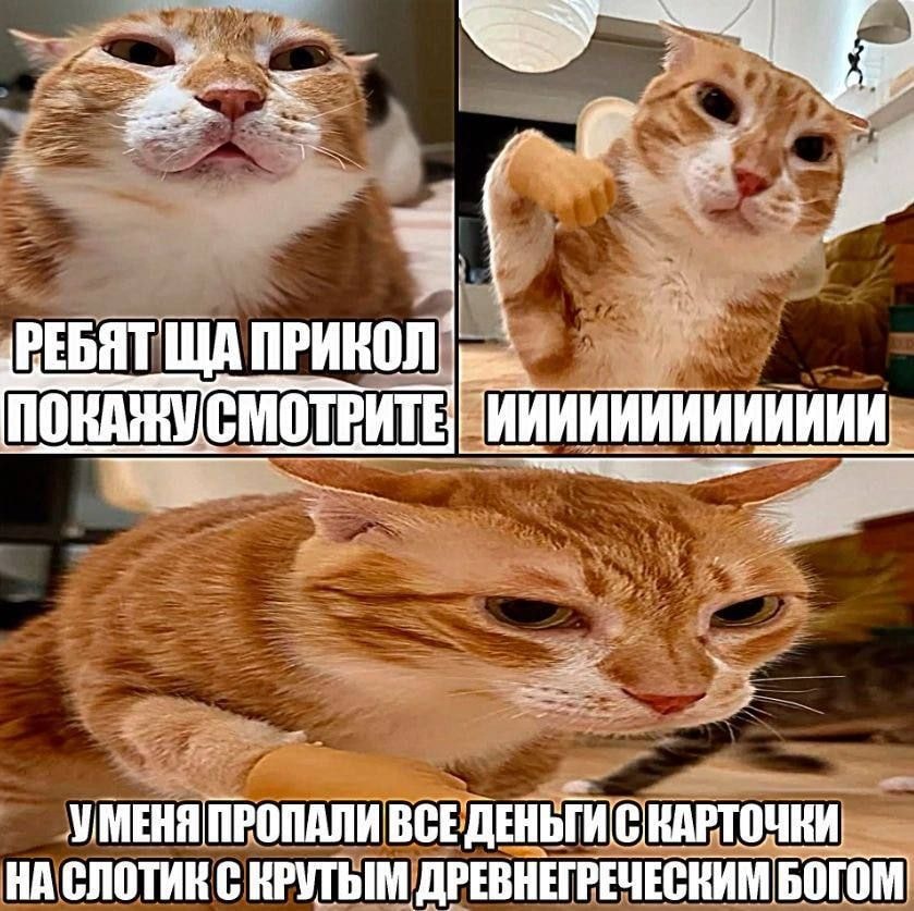 1000043040.jpg