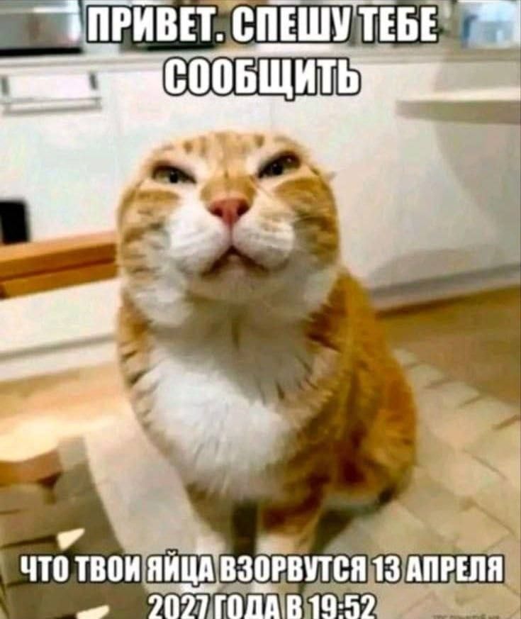 1000043035.jpg