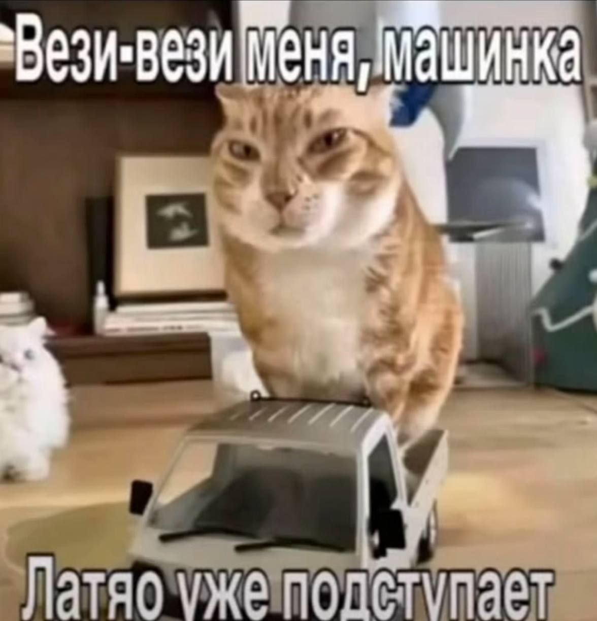 1000043034.jpg