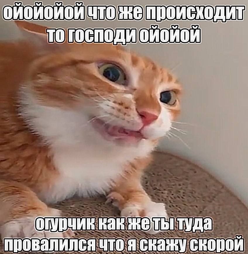 1000043027.jpg