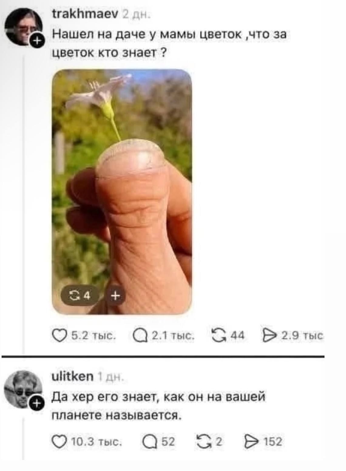 2104.jpg