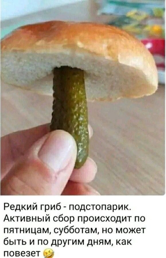 1000043990.jpg