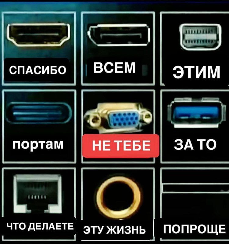 d86179e37296c323d58cdf904hd.jpeg