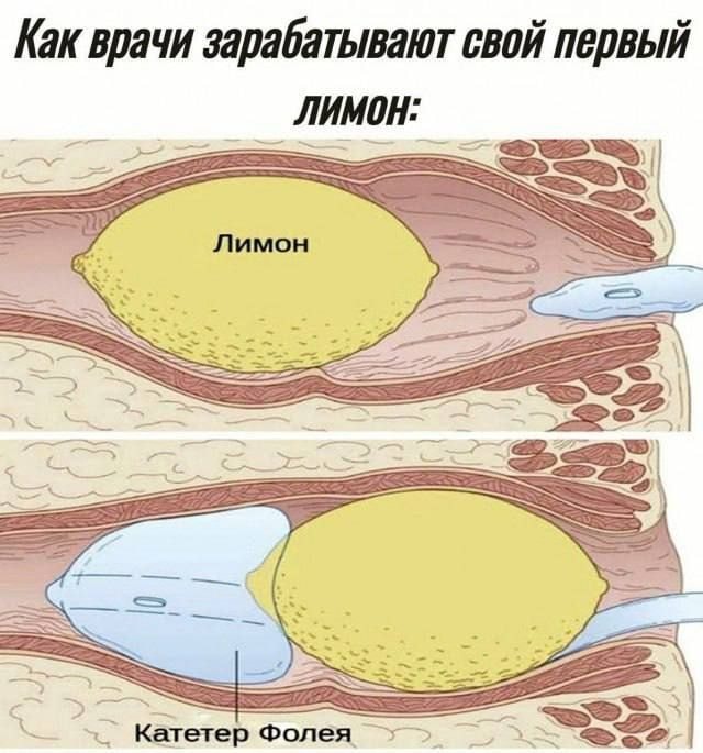 1000046232.jpg