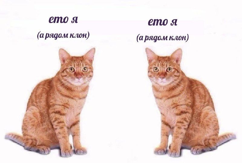 e135e4fd69d5de1caabcd4b02hd.jpeg
