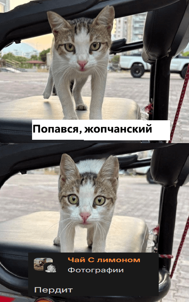 file
