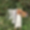 IMG_7673.jpeg