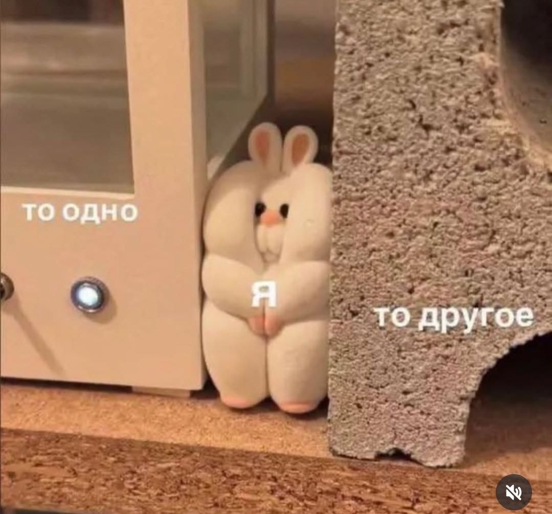 1000014794.jpg