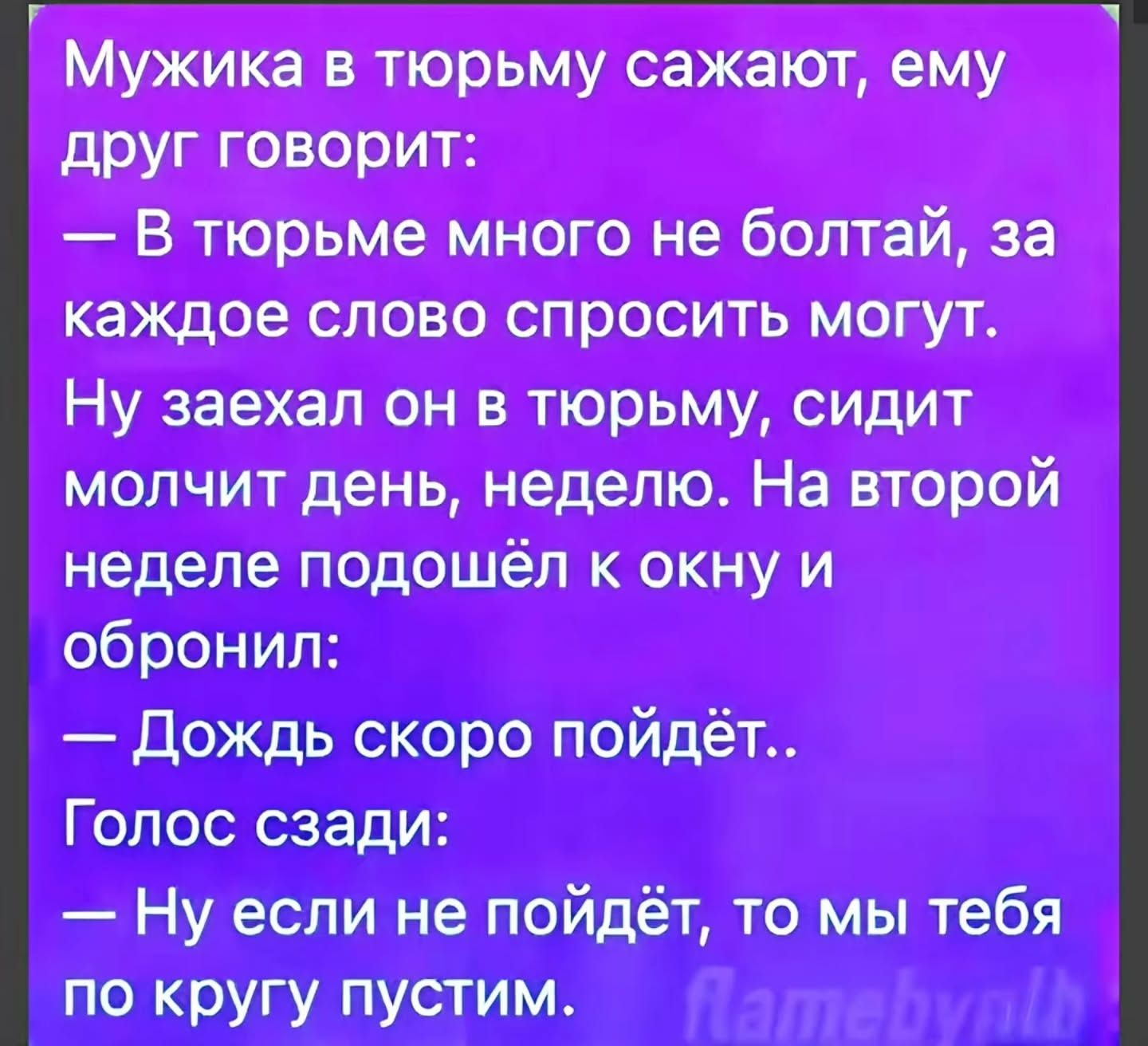 1136.jpg