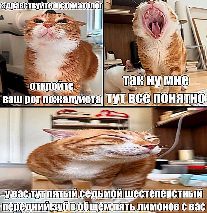 1000043045.jpg