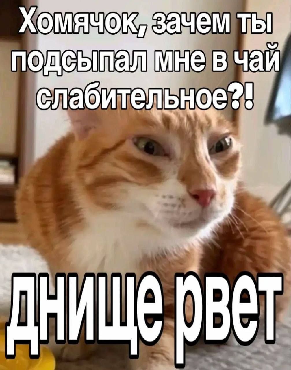 1000043041.jpg