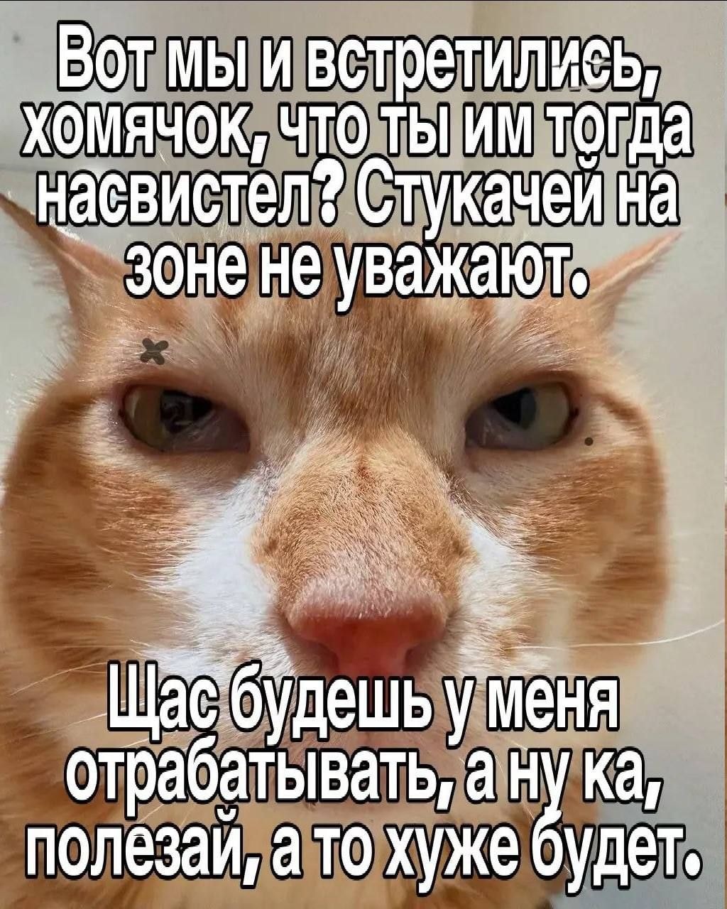 1000043029.jpg