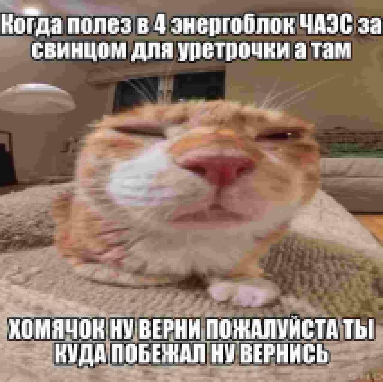 1000043026.jpg