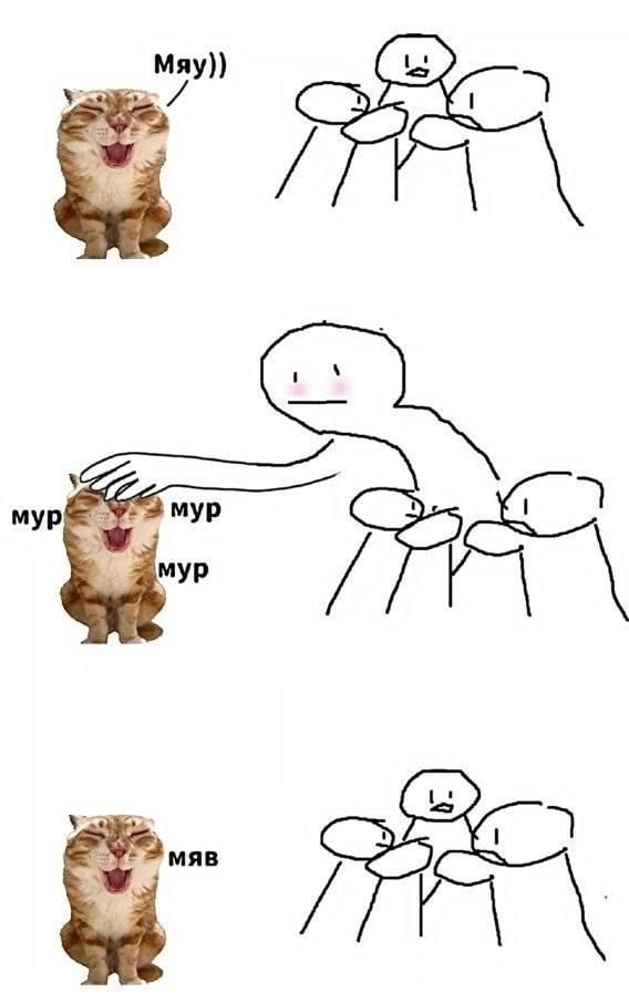 1000043025.jpg