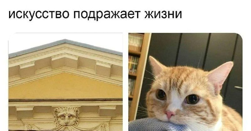 f66f824dec206a0ff499da106hd.jpeg