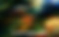 images (37).jpeg